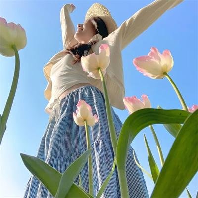 红粉贵族